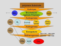 250px Biogas Entstehung 